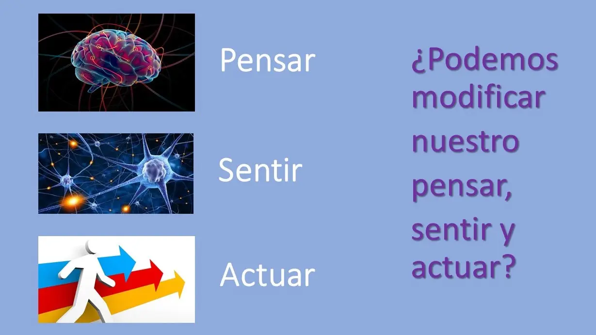 como funciona la mente humana psicologia - Cómo funciona la mente y los pensamientos