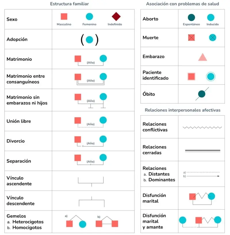 familiograma psicologia - Cómo hacer un Familiograma paso a paso