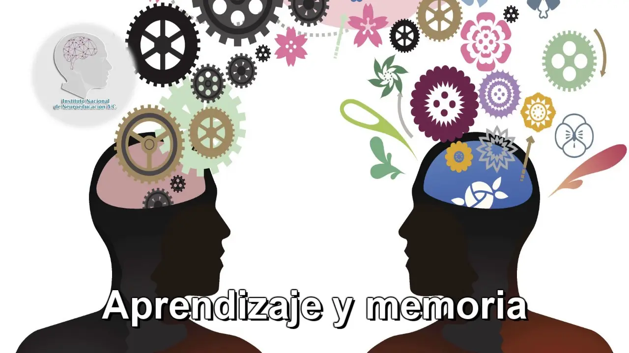 aprendizaje y memoria psicologia - Cómo influye la memoria en el aprendizaje