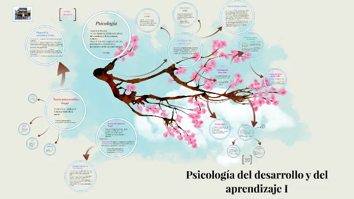 psicologia del desarrollo y el aprendizaje - Cómo influye la psicología del desarrollo en la educación