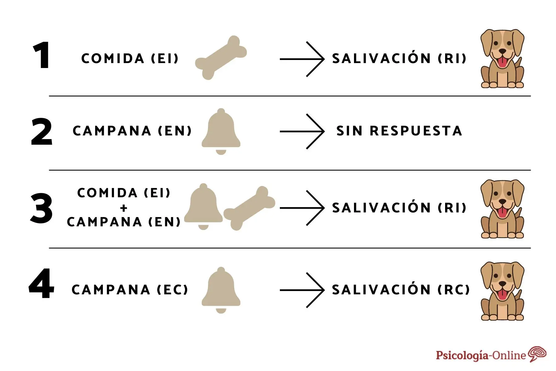 que es el condicionamiento clasico en psicologia - Cómo se aplica el condicionamiento clásico