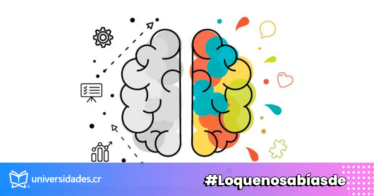Orientación Vocacional en Psicología Educativa - Cómo se define la orientación vocacional orientacion vocacional psicologia educativa - Cómo se define la orientación vocacional