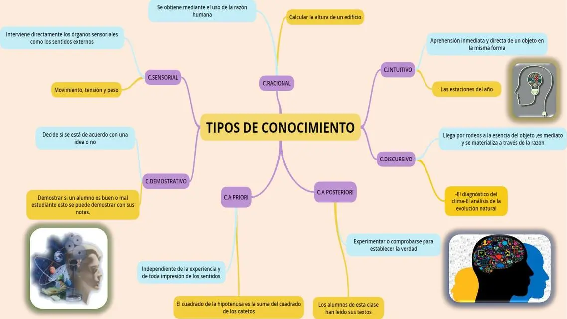 Tipos de Conocimiento en Psicología - Cómo se divide la teoría del conocimiento tipos de conocimiento psicologia - Cómo se divide la teoría del conocimiento