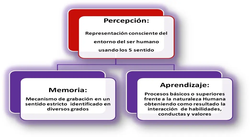 aprendizaje y memoria psicologia - Cómo se llama el aprendizaje de memoria