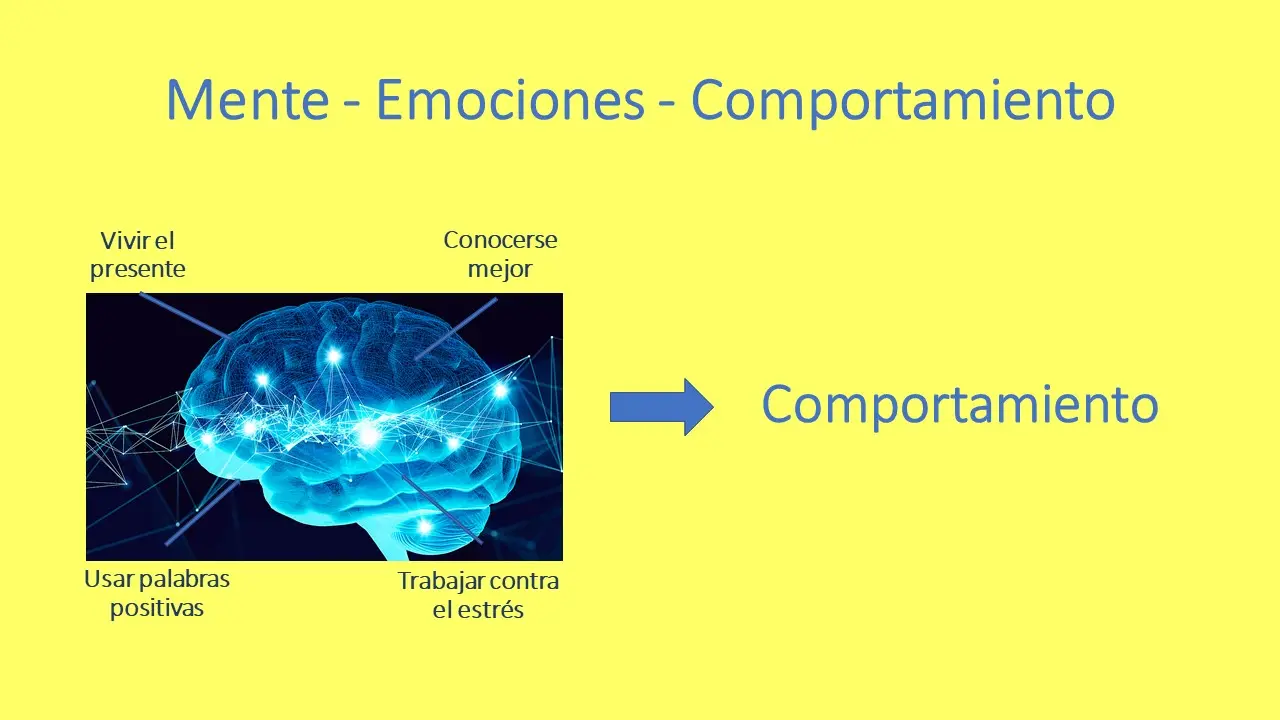que son las emociones psicologia y mente - Cómo se relaciona la mente con las emociones