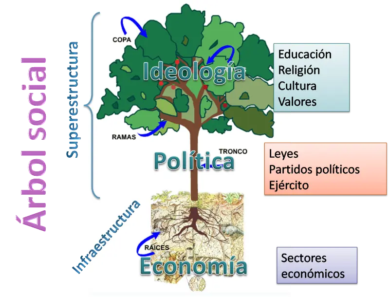 dinamica del arbol psicologia - Cómo se trabaja el árbol de la vida