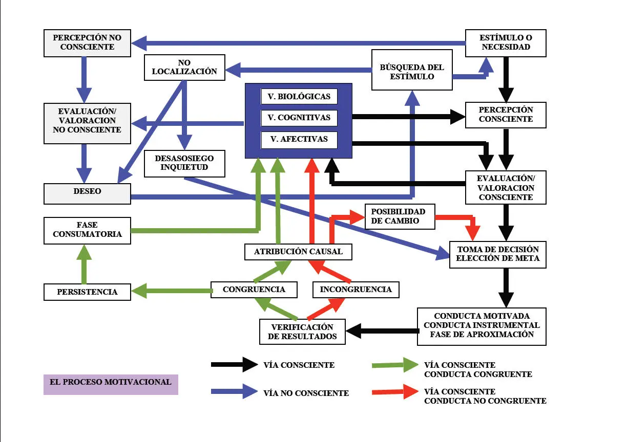 proceso de la motivacion psicologia - Cuál es el proceso de la motivación