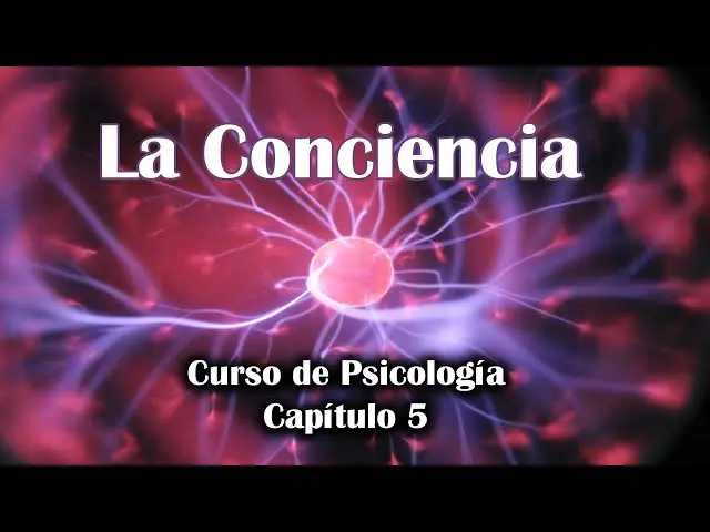 definicion de conciencia psicologia - Cuál es el significado de consciencia