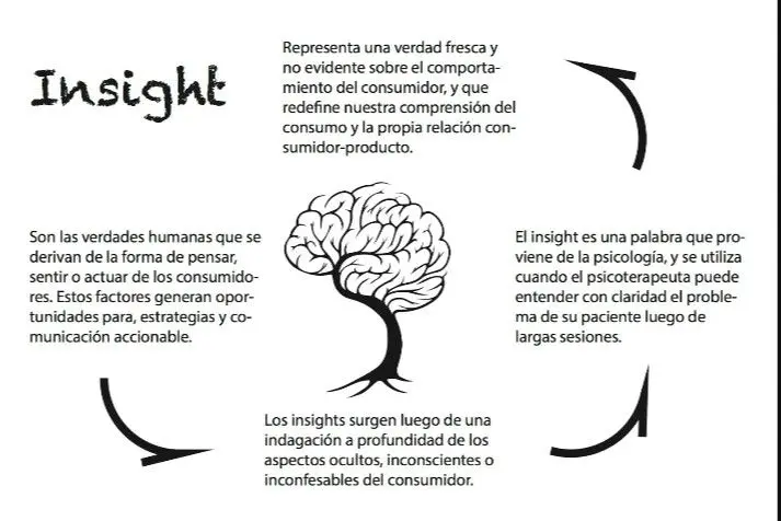insight psicologia social - Cuál es la función de insight