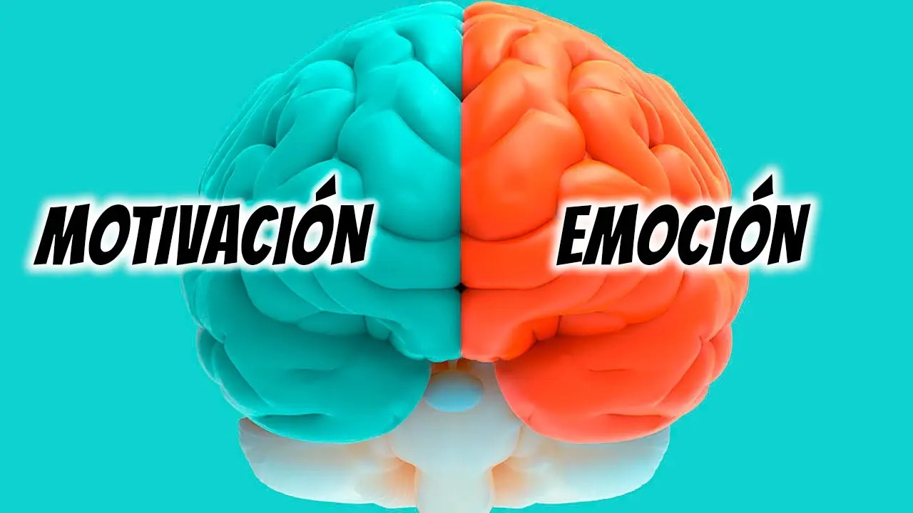 psicologia de la motivacion y emocion - Cuál es la relación de la motivación y la emoción