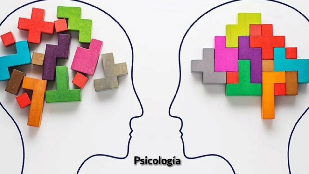 relacion entre psicologia y educacion - Cuál es la relación entre psicología y educación según César Coll