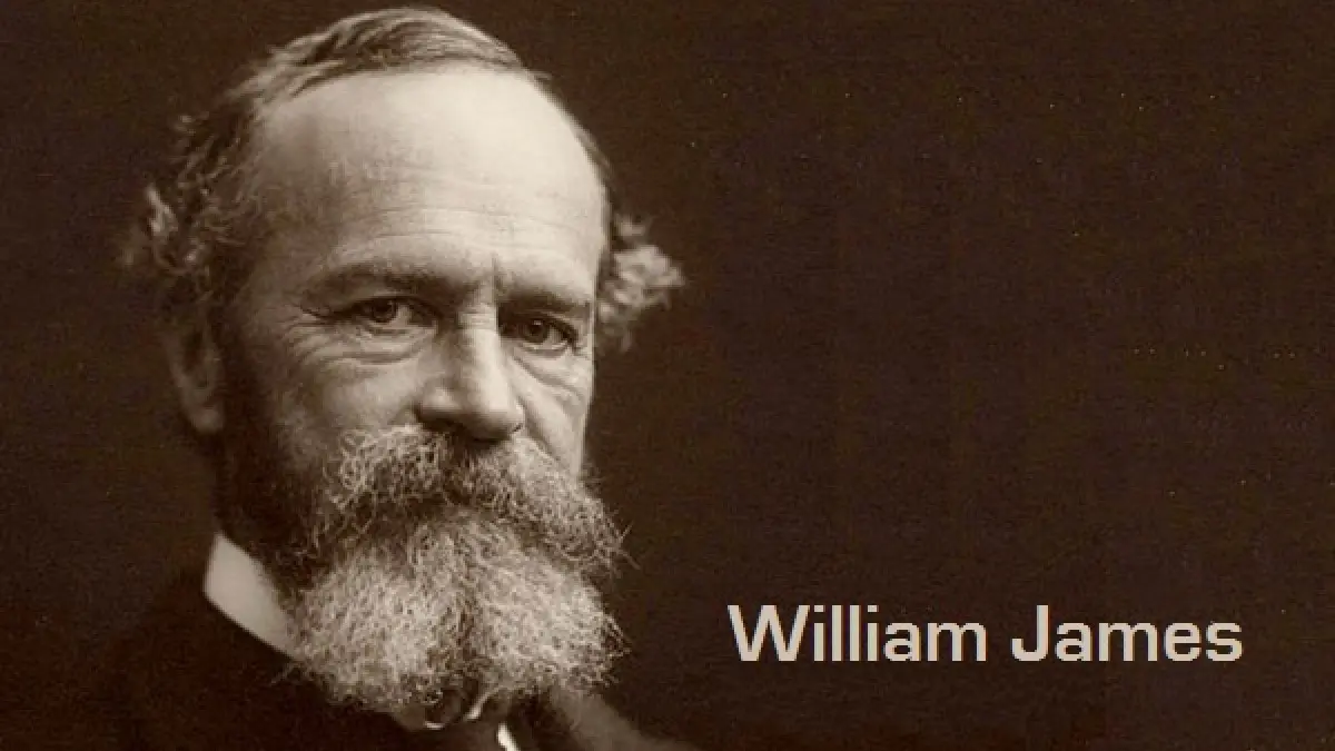 w james psicologia - Cuál es la teoría de la memoria William James