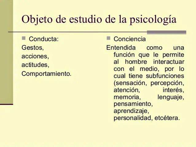 cuales son los objetos de estudio de la psicologia - Cuál o cuáles son los objetos de estudio de la psicología UNAD