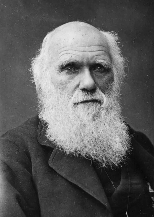 charles darwin aportaciones a la psicologia - Cuáles fueron los aportes más importantes de Charles Darwin