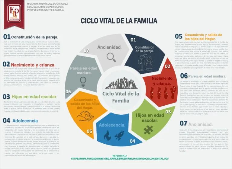 ciclo vital de la familia psicologia - Cuáles son las 4 etapas de la evolución historica de la familia
