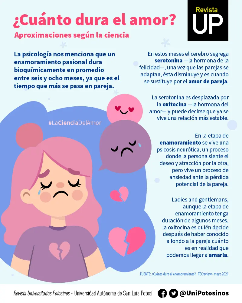 etapas del amor segun la psicologia - Cuáles son las 7 etapas del amor