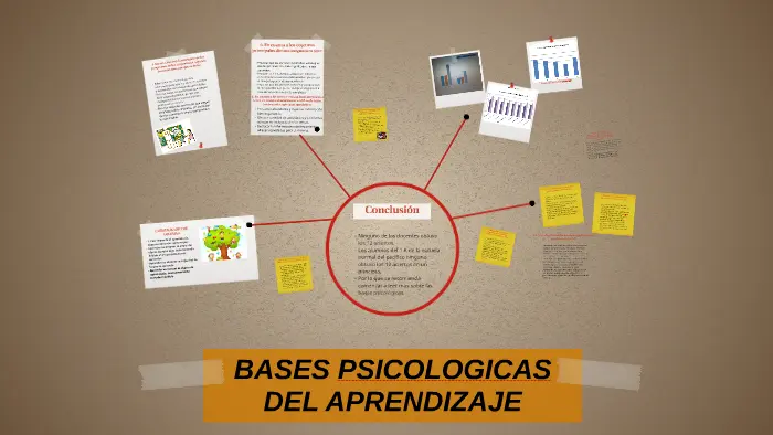 bases psicologicas del aprendizaje - Cuáles son las bases psicológicas