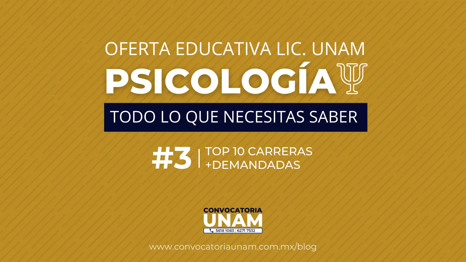 licenciatura en psicologia en linea unam - Cuáles son las carreras en línea de la UNAM