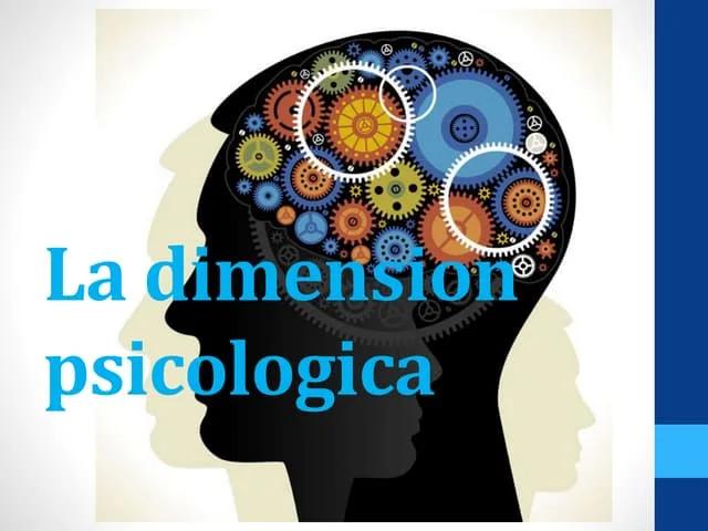 dimensiones psicologia - Cuáles son las dimensiones de la conducta humana