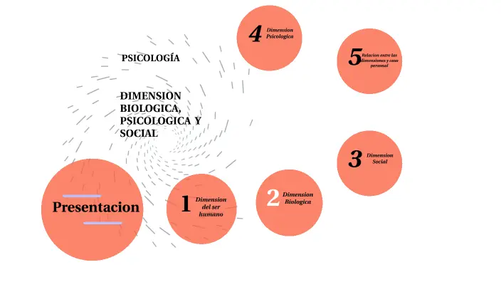 cuales son las dimensiones de la psicologia - Cuáles son las dimensiones psicológicas del ser humano