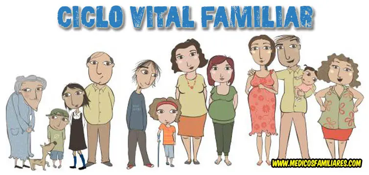 ciclo vital de la familia psicologia - Cuáles son las etapas del ciclo vital de la familia