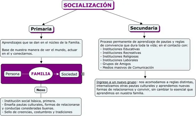 que es el proceso de socializacion en psicologia - Cuáles son las etapas del proceso de socialización