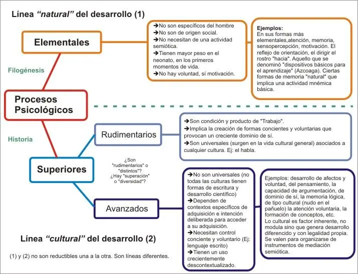 funciones psicológicas elementales - Cuáles son las funciones psicológicas