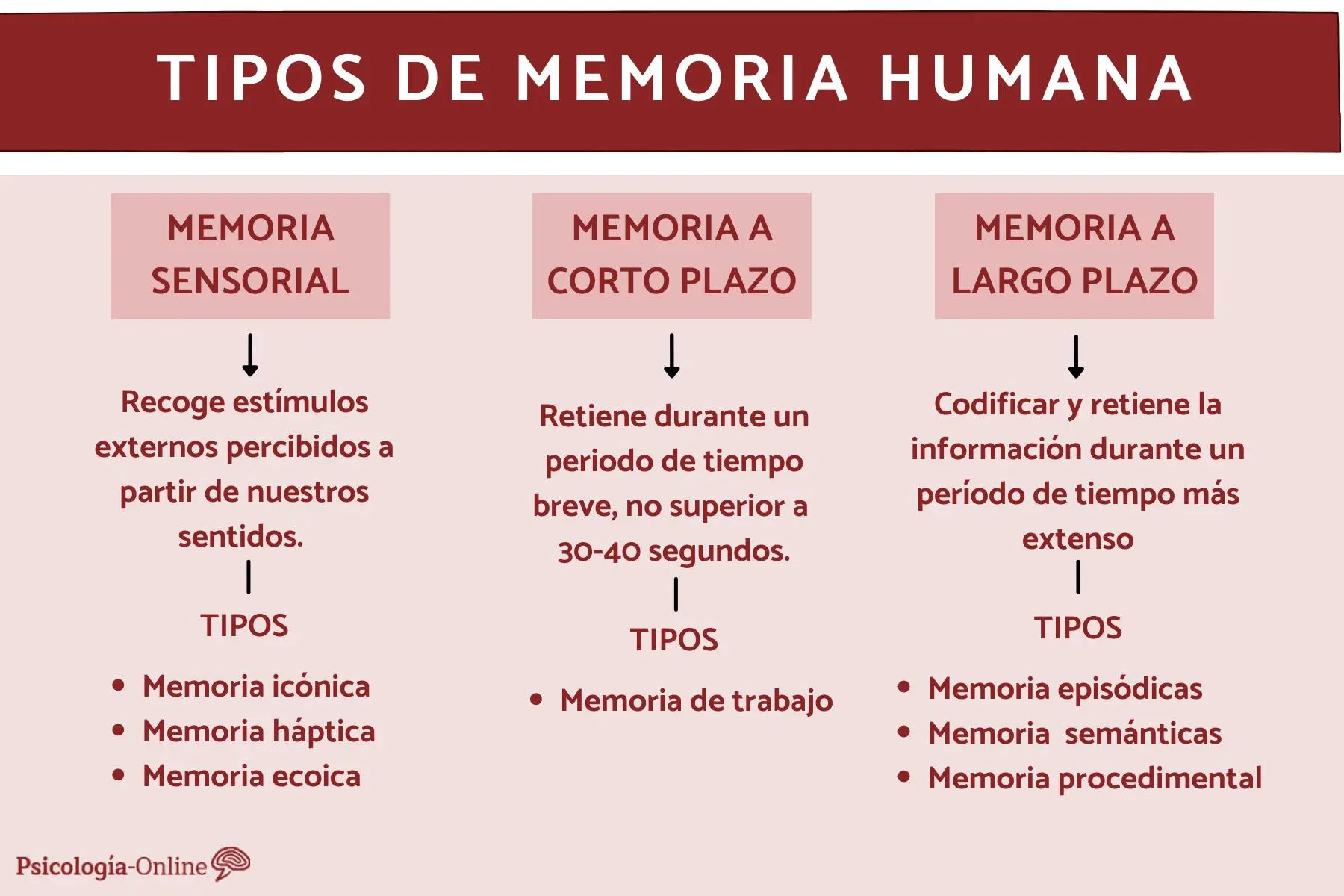 memoria humana psicologia - Cuáles son los 4 tipos de memoria