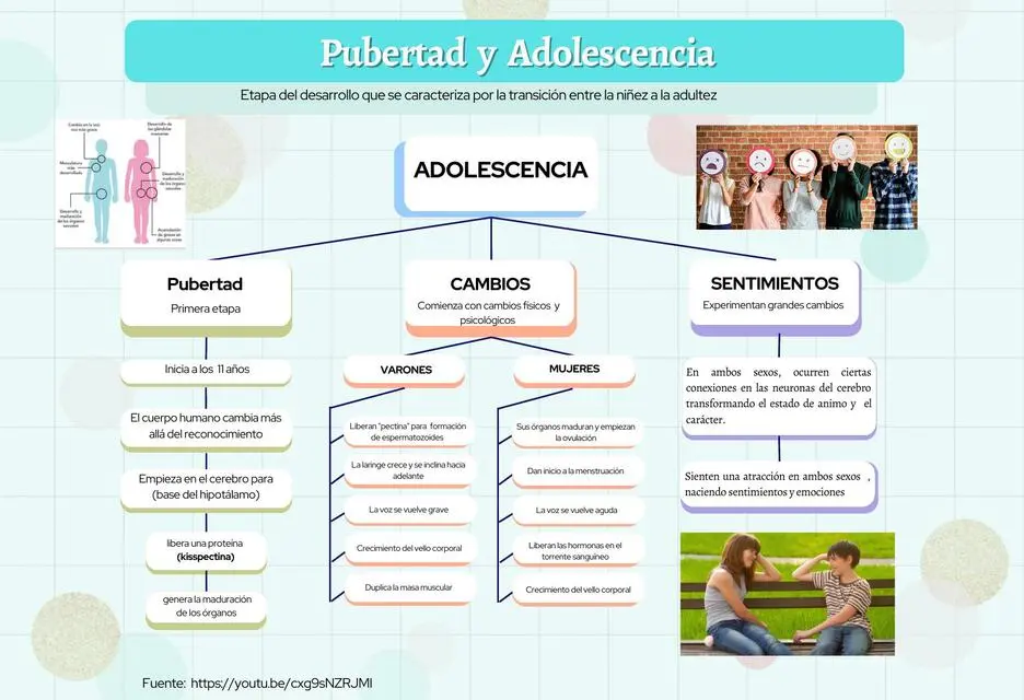 pubertad y adolescencia psicologia - Cuáles son los cambios emocionales de la pubertad