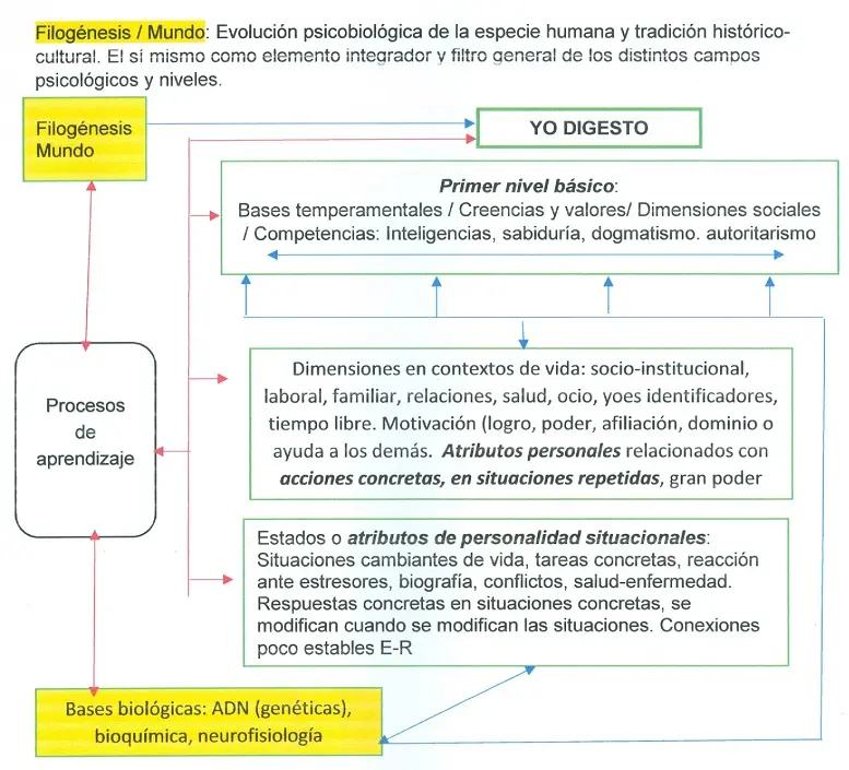 estructura de la personalidad psicologia - Cuáles son los elementos que conforman la personalidad