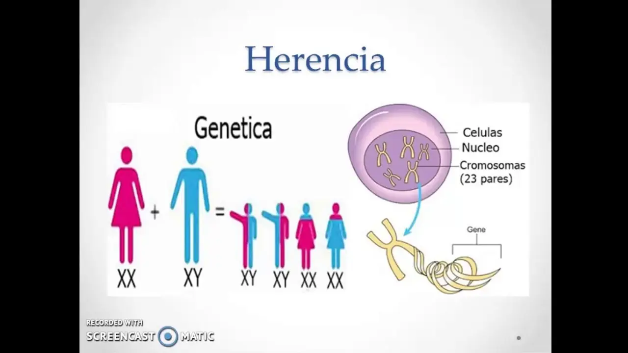 factores que determinan la personalidad psicologia - Cuáles son los factores determinantes de la personalidad