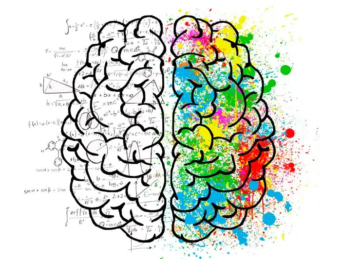 factores sociales psicologia - Cuáles son los factores sociales ejemplos