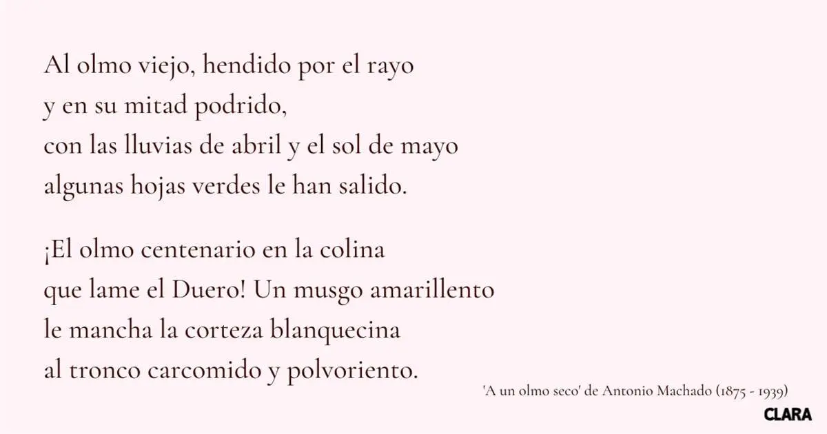 psicologia poema - Cuáles son los mejores poemas