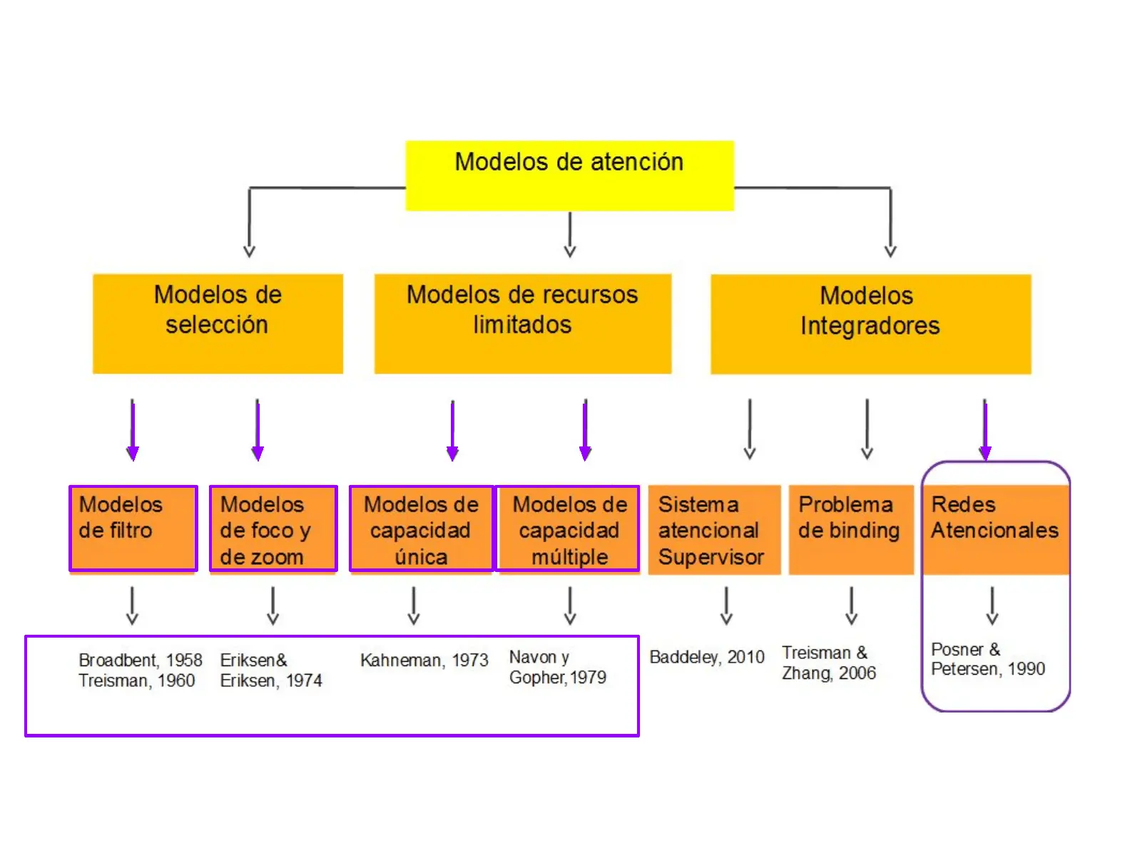 modelos atencionales psicologia - Cuáles son los modelos atencionales