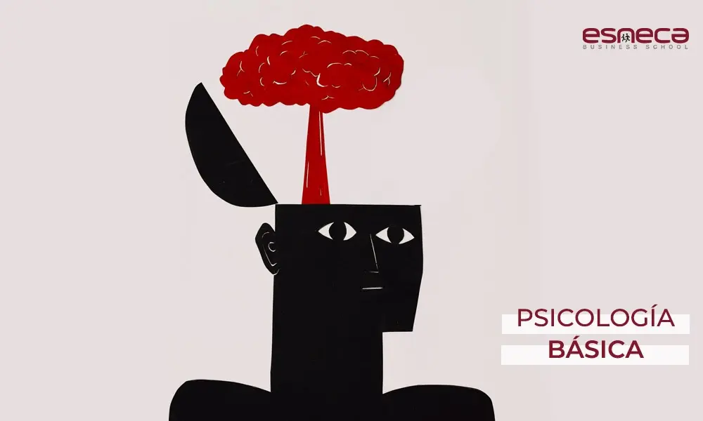 Áreas básicas de la psicología - Cuáles son los tres 3 campos principales de la psicología areas basicas de la psicologia - Cuáles son los tres 3 campos principales de la psicología