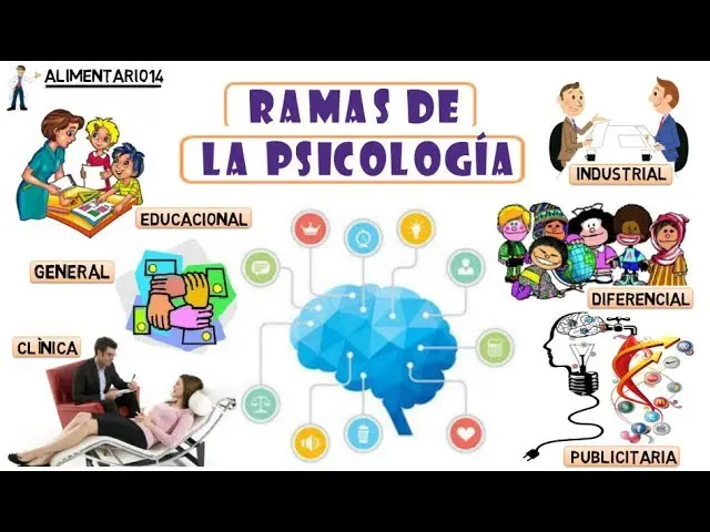 distintas ramas de la psicologia - Cuántas ramas de la psicología hay en total