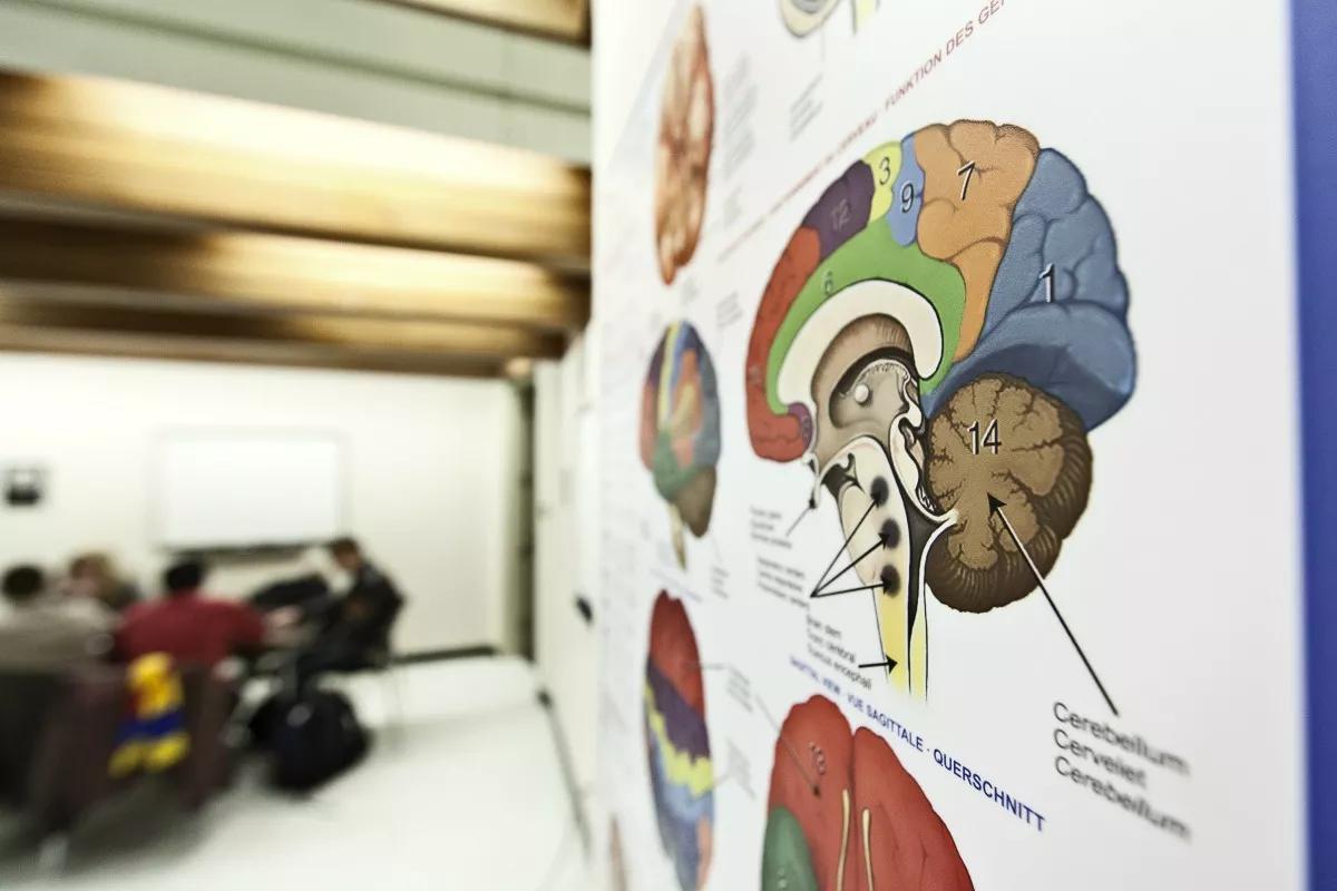Psicología puntaje PSU: ¿Qué puntaje se necesita para ingresar a la carrera de Psicología? - Cuánto puntaje exige la carrera de Psicología psicologia puntaje psu - Cuánto puntaje exige la carrera de Psicología