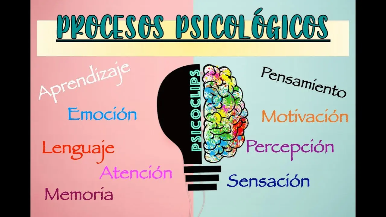 procesos psicologicos basicos - Cuántos procesos psicológicos existen