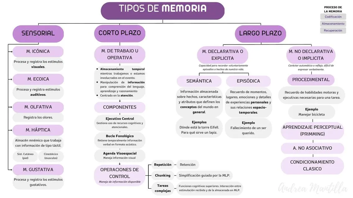 memoria tipos psicologia - Cuántos tipos de memoria hay y qué tiempo duran