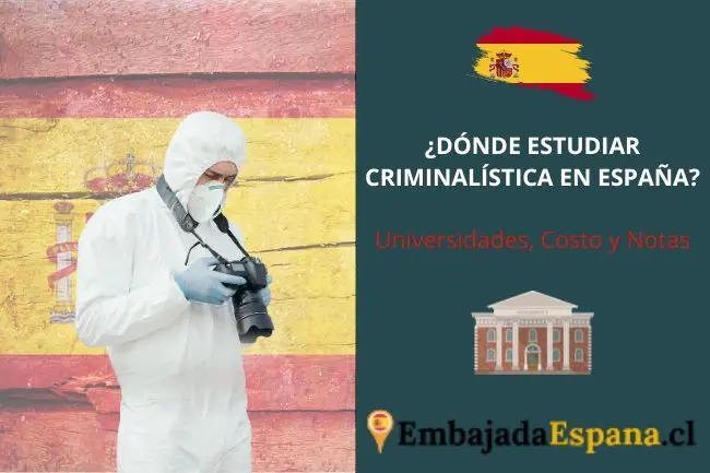donde estudiar psicologia criminal en españa - Dónde estudiar Criminología y psicología en España