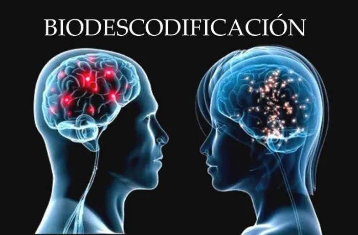 biodescodificación como terapia en psicología - Dónde se puede estudiar biodescodificacion en Argentina