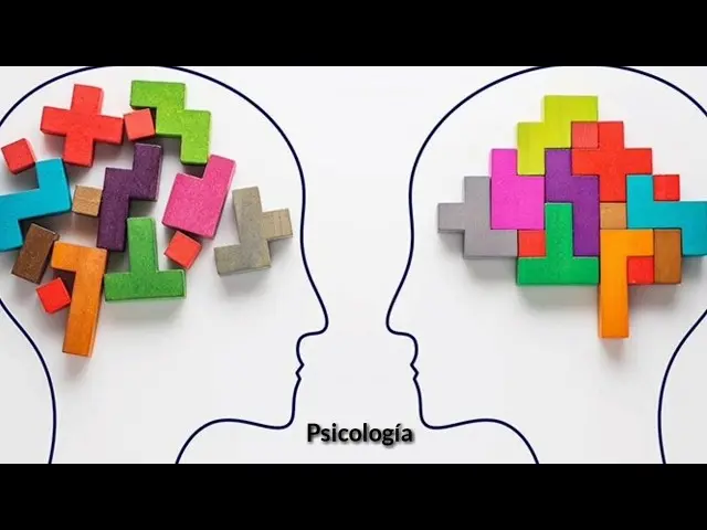 relacion entre psicologia educativa y pedagogia - Por qué la psicología y la pedagogía se encuentran vinculadas