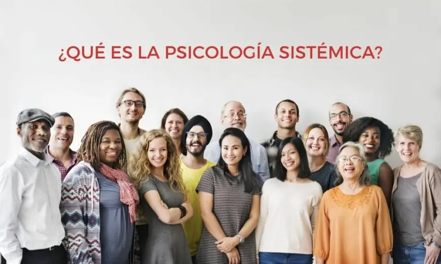 aportes de la psicologia sistemica - Qué aporta el enfoque sistémico