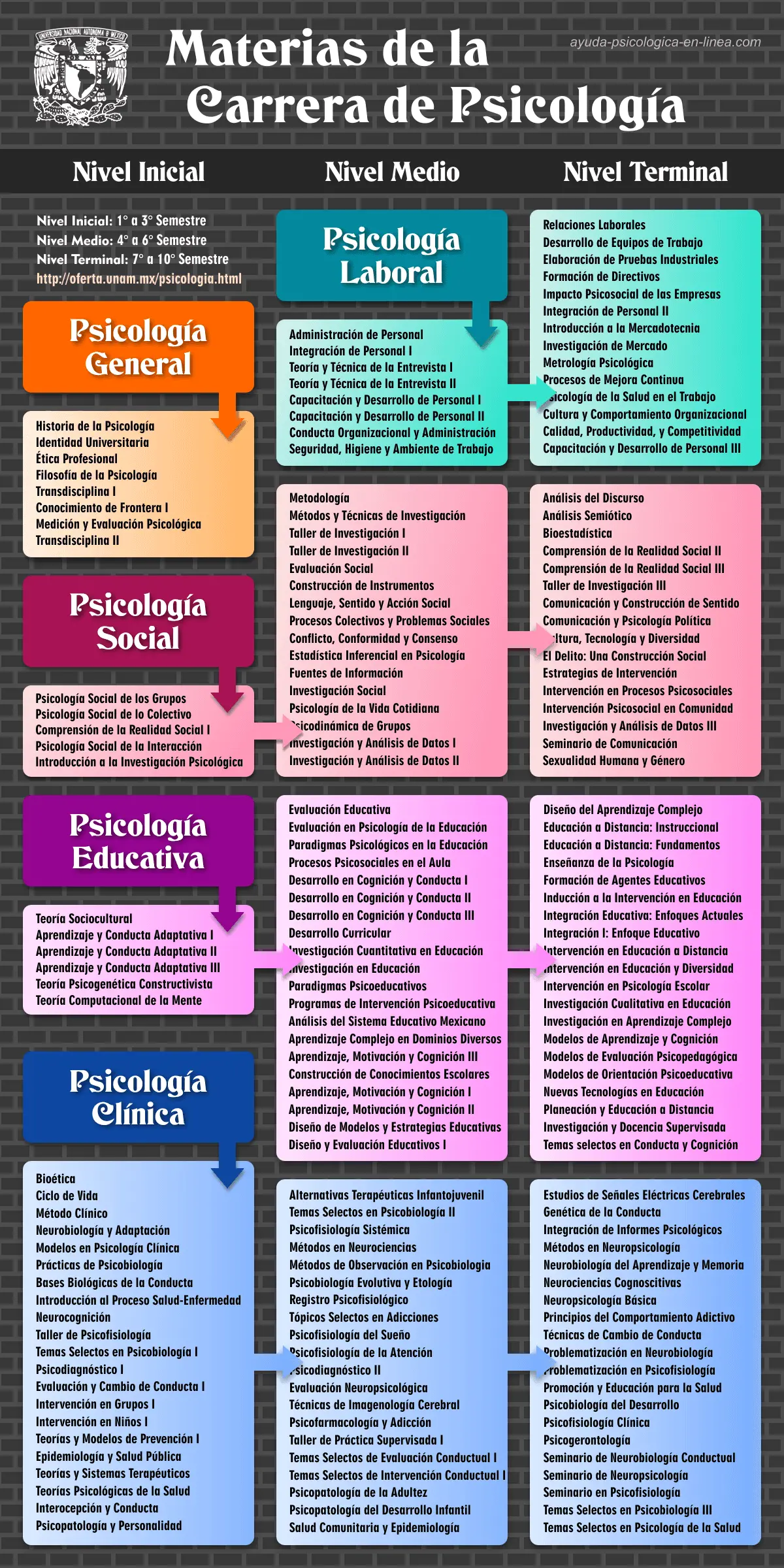 psicologia materias que se cursan - Qué asignaturas hay que estudiar para Psicología