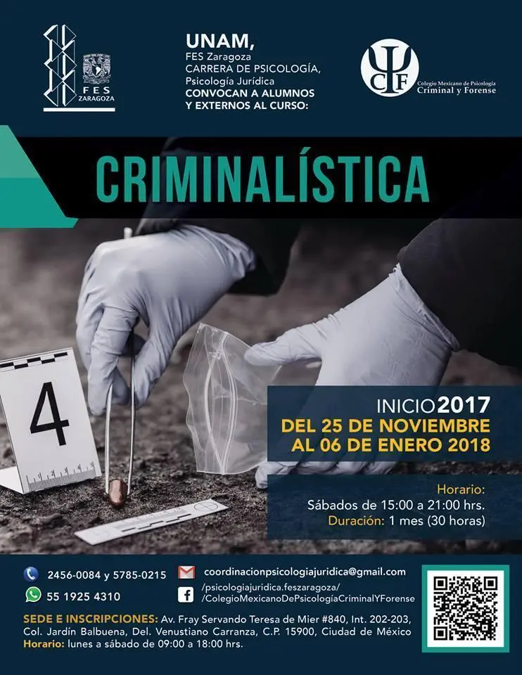 Psicología Criminal en la UNAM - Qué carrera es psicología criminal psicologia criminal unam - Qué carrera es psicología criminal