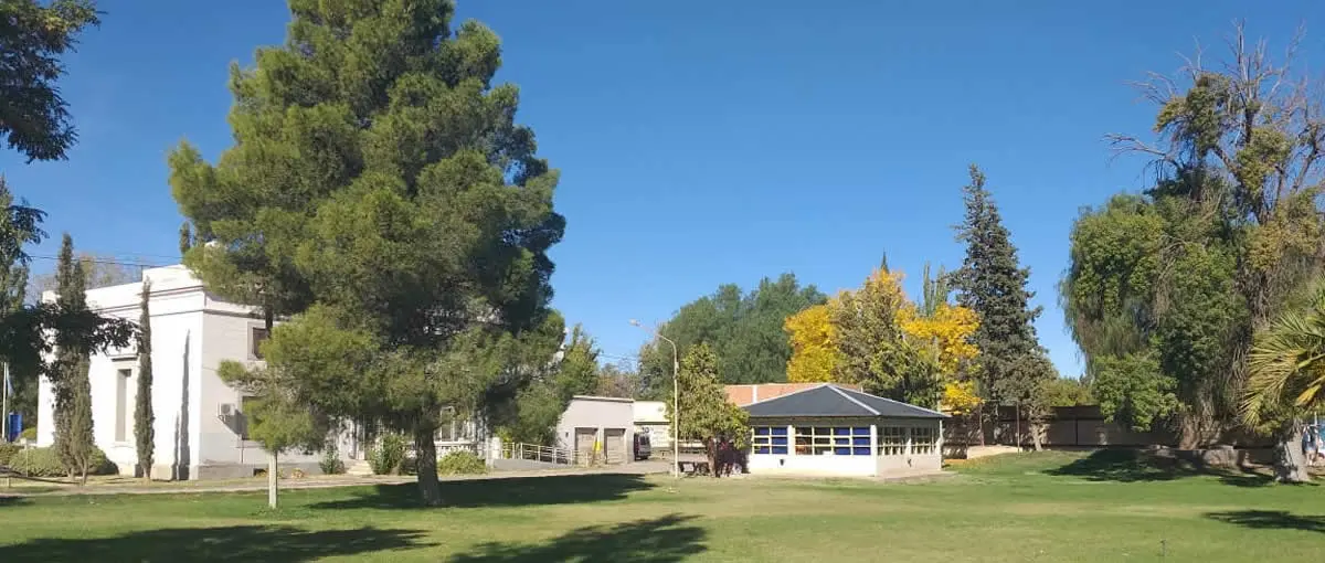uncoma psicologia cipolletti - Qué carreras tiene la Uncoma Neuquen