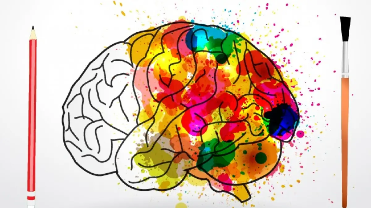 efectos fisiológicos y psicológicos del color - Qué color activa el cerebro