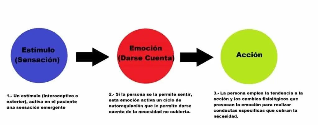 Diferencia entre Psicología Cognitiva y Gestalt - Qué diferencia hay entre Gestalt y psicología de la Gestalt diferencia entre psicologia cognitiva y gestalt - Qué diferencia hay entre Gestalt y psicología de la Gestalt