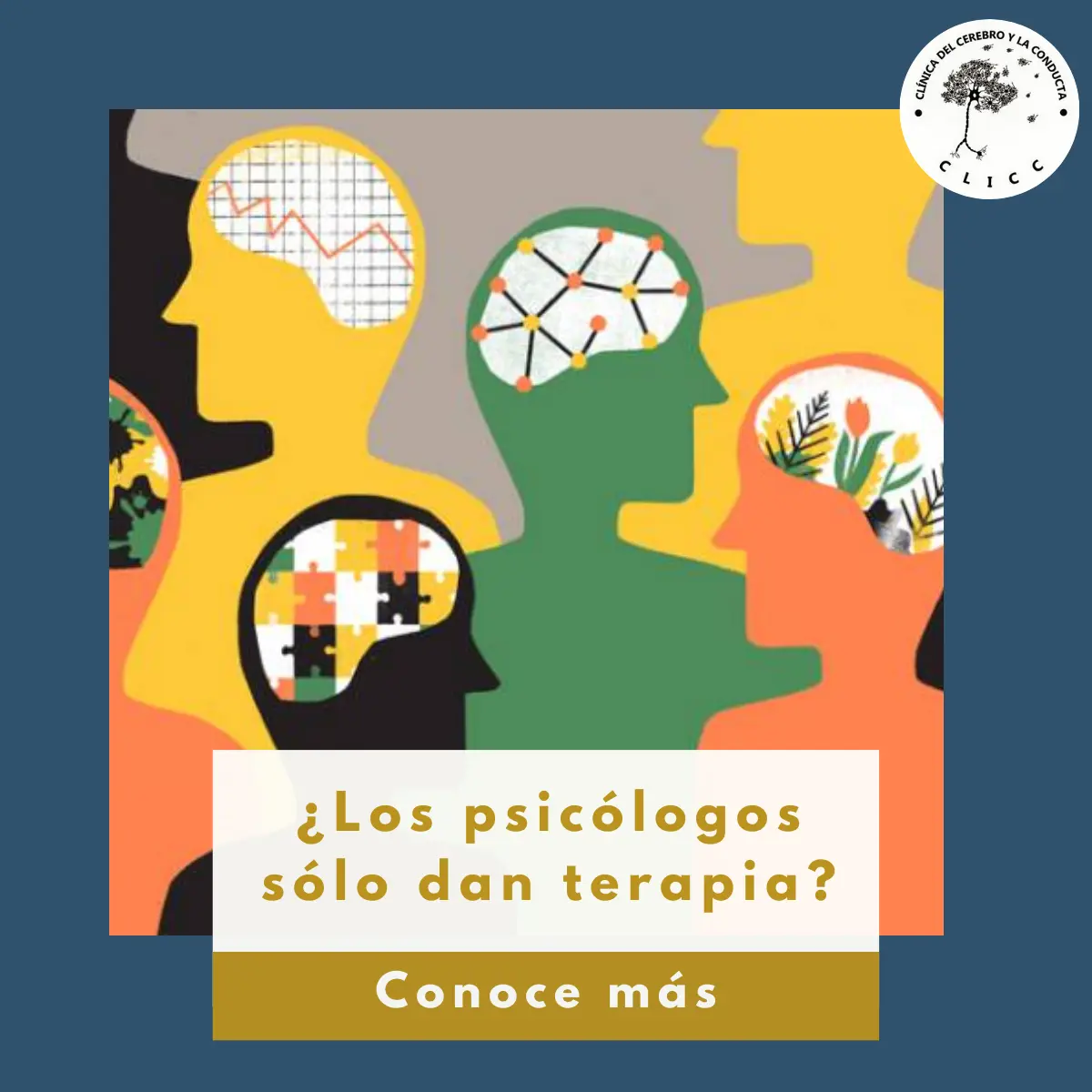 psicologia y psicologia es lo mismo - Qué diferencia hay entre psicología y psicología clínica