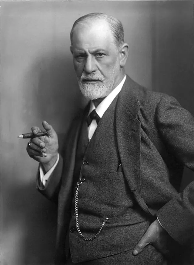 freud psicologo biografia - Que encontró Freud en sus estudios